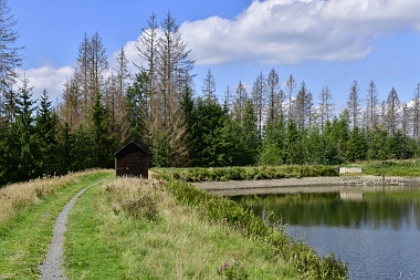 Semmelwieser Teich Oberharzer Wasserwirtschaft 820 Bilder